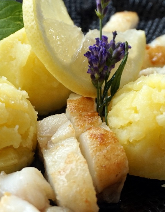 Steinbeißerfilet mit Zitronenkartoffeln