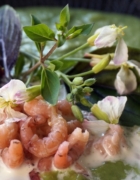 Indisches Masala-Curry-Huhn