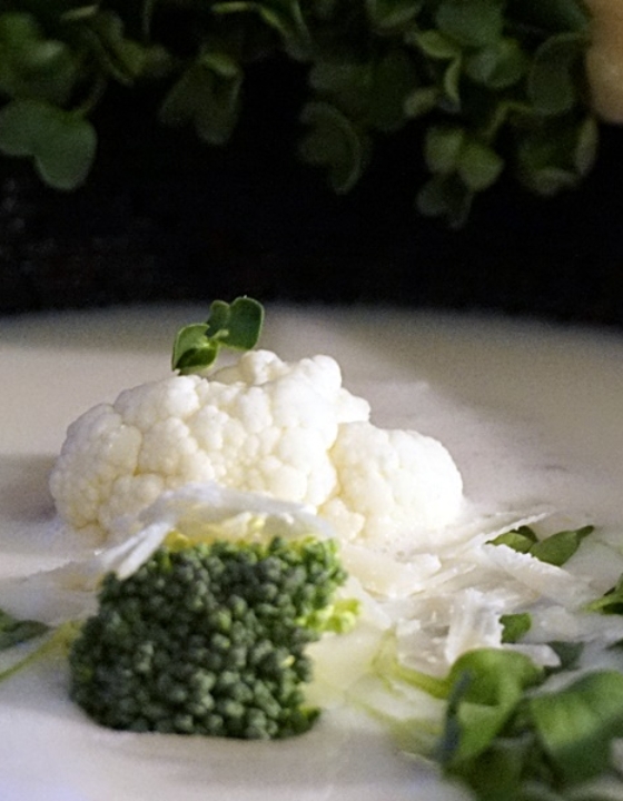 Parmesan-Suppe
