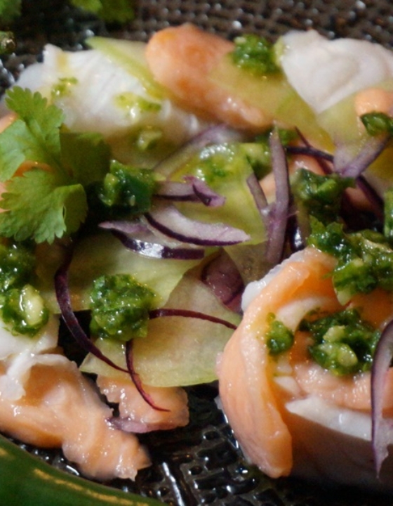 Lachs-Zander-Ceviche mit Koriander